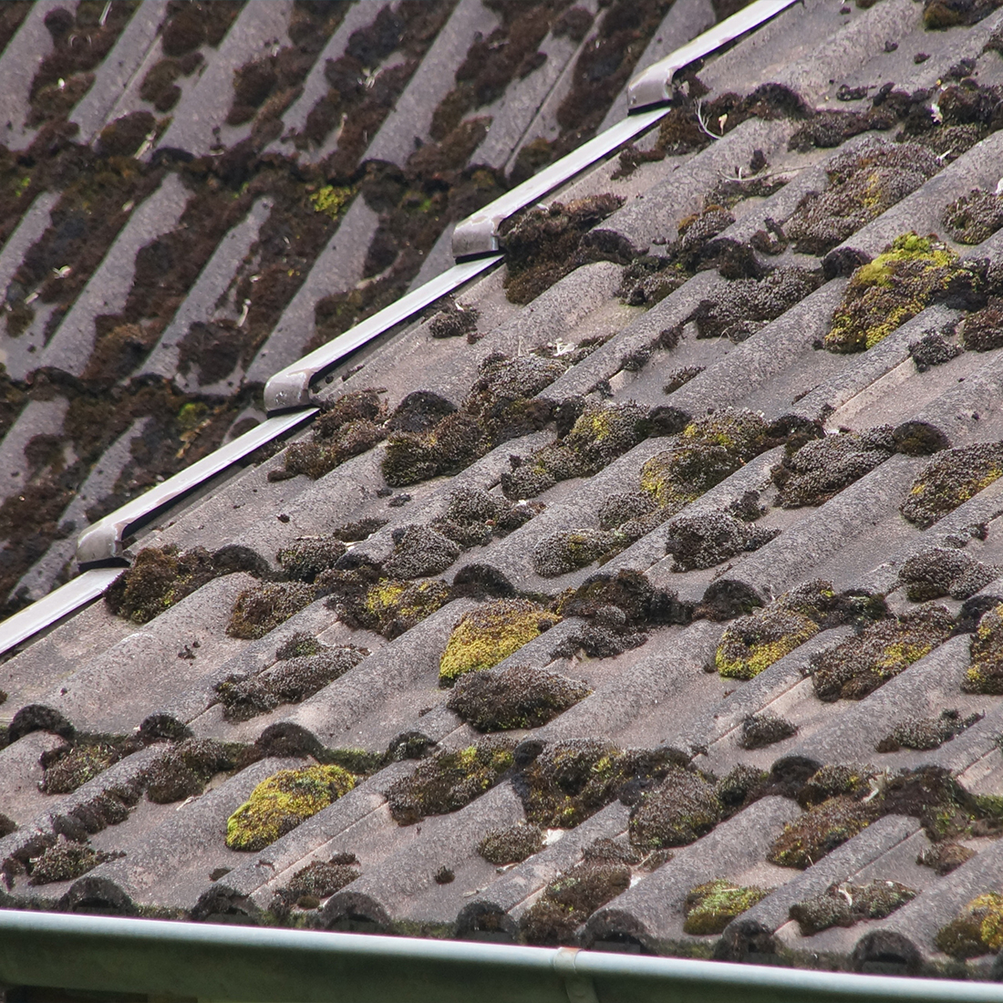 Nettoyage et demoussage de toiture à Clamart (92140) dans les Hauts-de-Seine 92